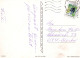 FLORES Vintage Tarjeta Postal CPSM #PAS245.ES - Bloemen