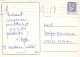PERRO Animales Vintage Tarjeta Postal CPSM #PAN848.ES - Dogs