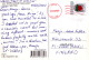 GATO GATITO Animales Vintage Tarjeta Postal CPSM #PAM392.ES - Katzen