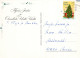 PAPÁ NOEL NAVIDAD Fiesta Vintage Tarjeta Postal CPSM #PAJ906.ES - Santa Claus