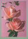 FLOWERS Vintage Ansichtskarte Postkarte CPSM #PBZ354.DE - Blumen