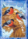 VOGEL Tier Vintage Ansichtskarte Postkarte CPSM #PBR401.DE - Birds