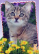 KATZE MIEZEKATZE Tier Vintage Ansichtskarte Postkarte CPSM #PBQ748.DE - Cats