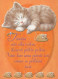 KATZE MIEZEKATZE Tier Vintage Ansichtskarte Postkarte CPSM #PBQ932.DE - Cats