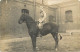 Militaires-ref E47-carte Photo Militaires-militaria -regiments-regiment -cavalerie -cavalier Sur Son Cheval - - Regiments