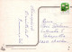 FLEURS Vintage Carte Postale CPSM #PAR164.FR - Flowers