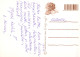 FLORES Vintage Tarjeta Postal CPSM #PBZ232.ES - Fleurs