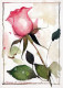 FLORES Vintage Tarjeta Postal CPSM #PBZ232.ES - Fleurs