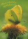 MARIPOSAS Animales Vintage Tarjeta Postal CPSM #PBS440.ES - Butterflies