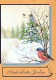 PÁJARO Animales Vintage Tarjeta Postal CPSM #PBR521.ES - Birds