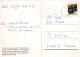 MONO Animales Vintage Tarjeta Postal CPSM #PBR992.ES - Monkeys
