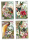 S 540, Liebig 6 Cards, Oiseaux Et Fleures Exotiques, Allemagne (  (ref B11) - Liebig