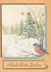 OISEAU Animaux Vintage Carte Postale CPSM #PBR522.FR - Birds