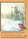 OISEAU Animaux Vintage Carte Postale CPSM #PBR522.FR - Birds
