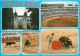 Corrida - Arènes De Dax - Multivues - CPM - Voir Scans Recto-Verso - Corrida