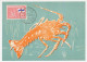 Maximum Card Netherlands Antilles 1965 Lobster - Marine Life