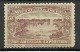 USA 1901 Pan American Exposition 1901 Buffalo & Niagara Advertising Poster Stamp Reklamemarke (*) Mint No Gum - Erinnofilia