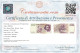 50000 LIRE GIAN LORENZO BERNINI II TIPO PRIMA SERIE TRIPLA A 27/05/1992 SPL/SPL+ - Other & Unclassified