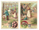 S 522 , Liebig 6 Cards, Champignons Comestibles (ref B10) - Liebig