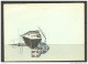 ESTLAND Estonia Postkarte Vor 1940 Reval  Rathaus City Hall Gesendet 1942 W√§hrend Deutscher Okkupation - Estonia