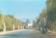 Chine - Ming Tombs - Stones Figures - China - CPM - Carte Neuve - Voir Scans Recto-Verso - Chine