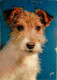 Animaux - Chiens - CPM - Voir Scans Recto-Verso - Dogs