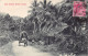 Sri Lanka - Out Station Road Scene - Publ. The Colombo Apothecaries Co. Ltd.  - Sri Lanka (Ceylon)