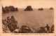 N°3180 W -cpa Camaret -les Tas De Pois- - Camaret-sur-Mer