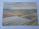 D203301  CPSM Netherlands - Gelukkig Paaschfeest  Pfingsten Pentecost  -Tulip Fields - Pfingsten