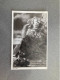 Die Loreley Carte Postale Postcard - Altri & Non Classificati