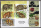 Argentina - 2024 - Letter - Modern Stamps - Diverse Stamps - Brieven En Documenten