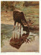 Animaux - Art Peinture Illustration - Hans Schmidt - Der Elch - CPM - Carte Neuve - Voir Scans Recto-Verso - Otros & Sin Clasificación