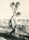 1961 ORIGINAL AMATEUR PHOTO JEUNE FEMMES SHOWER GIRL GIRLS WOMEN ALGARVE BEACH PORTUGAL Lesbian Interest AT445 - Pin-up