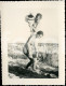 1961 ORIGINAL AMATEUR PHOTO JEUNE FEMMES SHOWER GIRL GIRLS WOMEN ALGARVE BEACH PORTUGAL Lesbian Interest AT445 - Pin-up