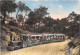 33-CAP FERRET-PETIT TRAIN FORESTIER-N°342-D/0321 - Autres & Non Classés
