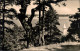 Ansichtskarte Goyatz-Schwielochsee Blick Auf Den Kleinen Schwielochsee 1961  - Goyatz