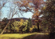 Ansichtskarte  Stimmungsbilder: Gärten Am Waldesrand 1989 - Sin Clasificación