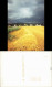 Ansichtskarte  Geerntetes Feld Mit Ortschaft, Stimmungsbild 1989 - Unclassified