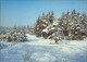Ansichtskarte  Schneelandschaft Mit Nadelbäumen, Winterstimmung 1987 - Unclassified