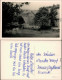 Ansichtskarte  Häuser Bäume Am Berghang 1950 - To Identify