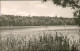 Ansichtskarte Templin Templiner See - Uferbereich 1957 - Templin