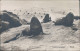 Ansichtskarte Südwest-Afrika Namibia Seehundgruppe 1970 - Namibie