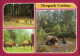 Cottbus Choćebuz Tierpark Asiatische Elefanten Beim Baden In Der Spree 1986 - Cottbus