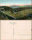 Ansichtskarte Braunlage Achtermannshöhe 1910 - Braunlage