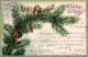Ansichtskarte Grusskarten: Waldes Grüsse Tannenzweig Mit Vögeln Darauf 1900 - Otros & Sin Clasificación