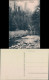 Ansichtskarte Hohnstein (Sächs. Schweiz) Polenztalwächter 1913 - Hohnstein (Sächs. Schweiz)