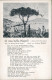 Ansichtskarte  Liedkarte: O Mia Bella Napoli (Tango Von Gerhard Winkler) 1940 - Muziek