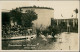 Charlottenburg-Berlin Sommerblumen Am Funkturm Ausstellung - Flamingos 1934 - Charlottenburg