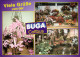 Ansichtskarte Cottbus Cho&#263;ebuz BUGA/Bundesgartenschau 1995 - Cottbus