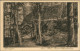 Ansichtskarte Bad Thal-Ruhla Ruine Im Wald 1929 - Other & Unclassified